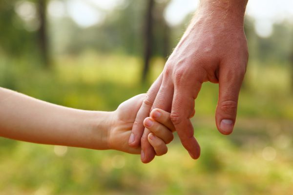 Father's,Hand,Lead,His,Child,Son,In,Summer,Forest,Nature